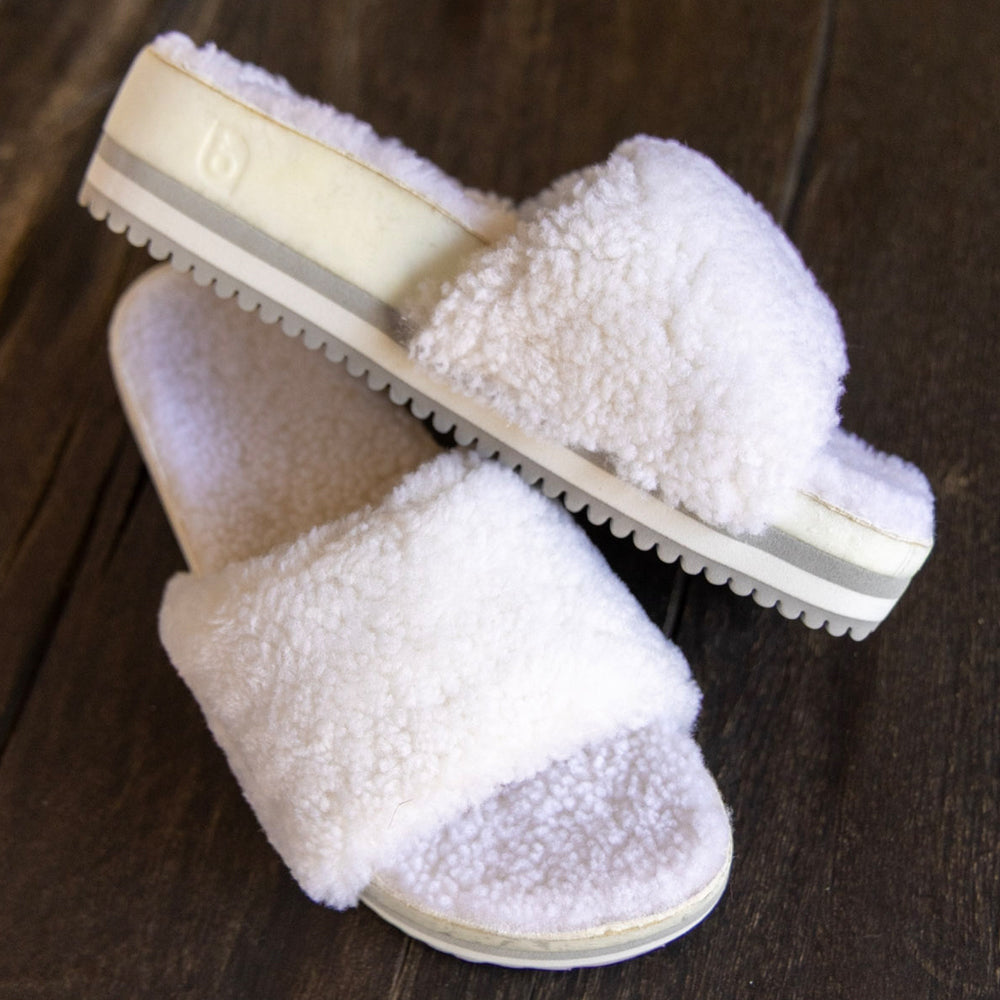 The Cito Slide - Iceberg