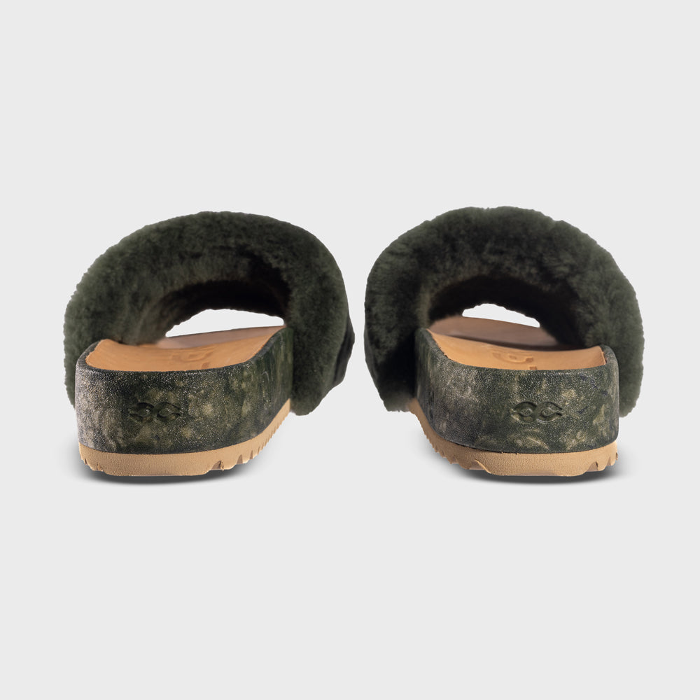 San Ysidro Slide - Forest