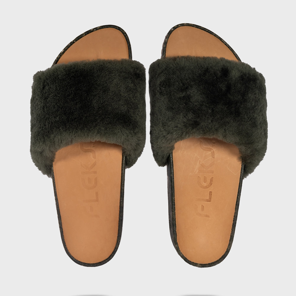 San Ysidro Slide - Forest