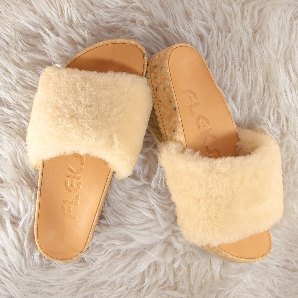 San Ysidro Slide - Morning Coffee