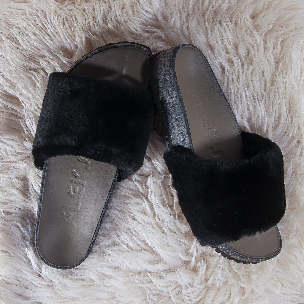 San Ysidro Slide - Raven